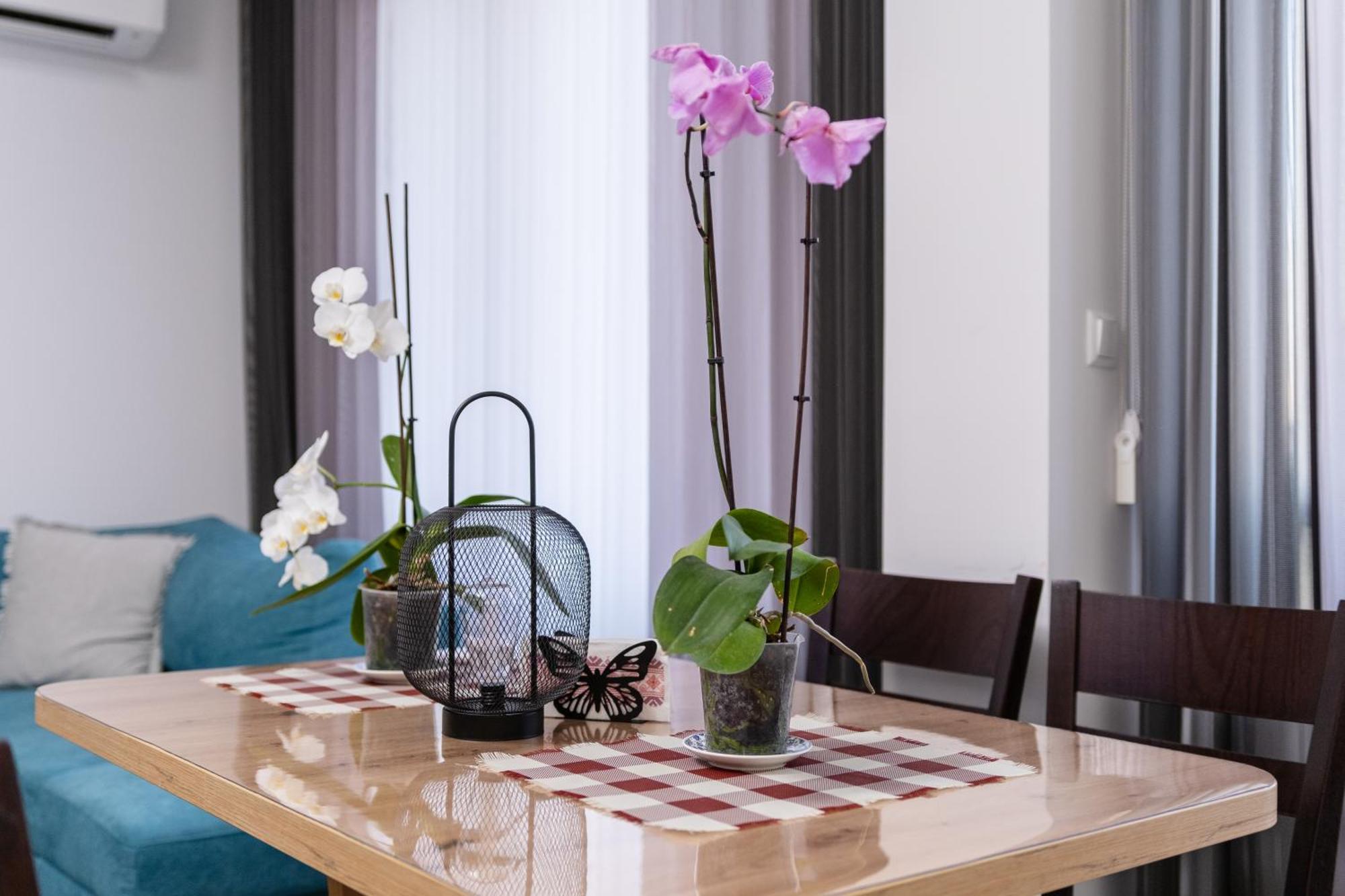 1-bedroom With Free Private Parking Filibe